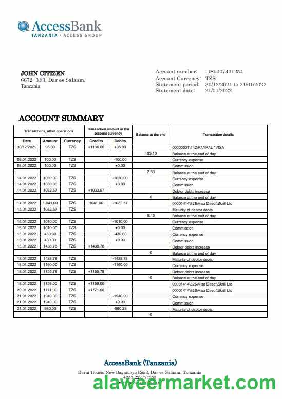 Tanzania Access Bank statement template in Word and PDF format